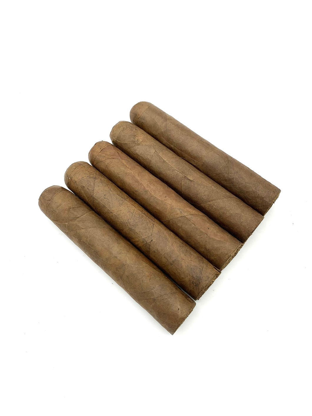 Premium Gordo Robusto ( 5 x 60 ) Habano